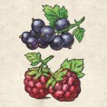 /album/novinky/engraving-old-style-jpg/